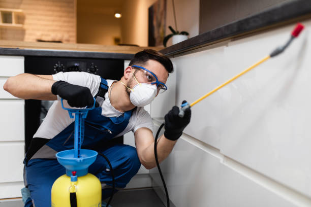 Reliable Montague, MI Pest Control Solutions