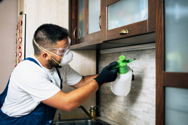 Best Bed Bug Extermination  in Montague, MI