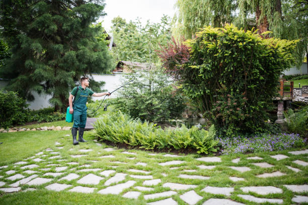 Best Mosquito Control Services  in Montague, MI