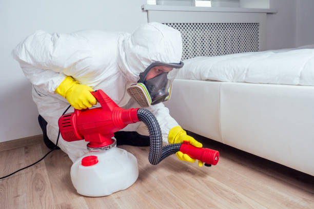Best Flea Control Services  in Montague, MI
