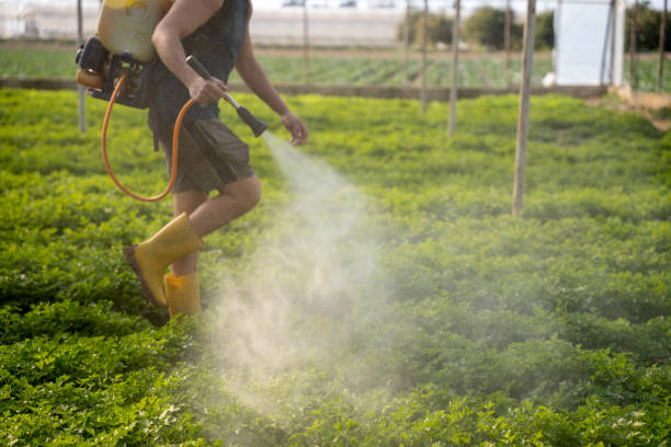 Best Exterminator Services  in Montague, MI