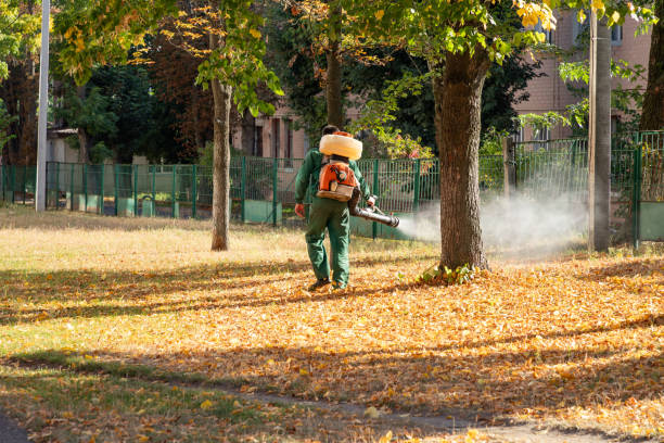 Best Pest Prevention Services  in Montague, MI