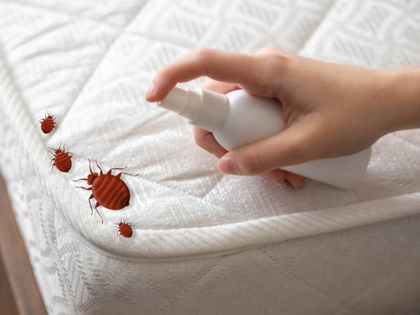 Best Emergency Pest Control  in Montague, MI