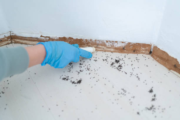 Best Pest Removal Services  in Montague, MI