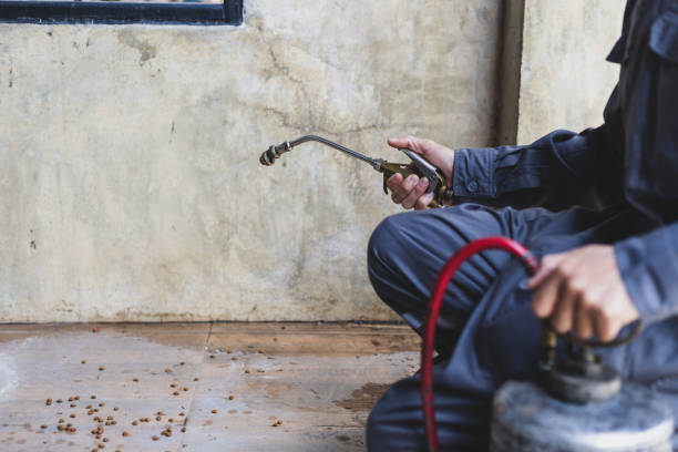 Best Best Pest Control Companies  in Montague, MI