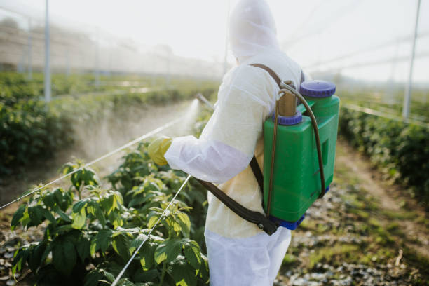 Best Wasp Removal Services  in Montague, MI